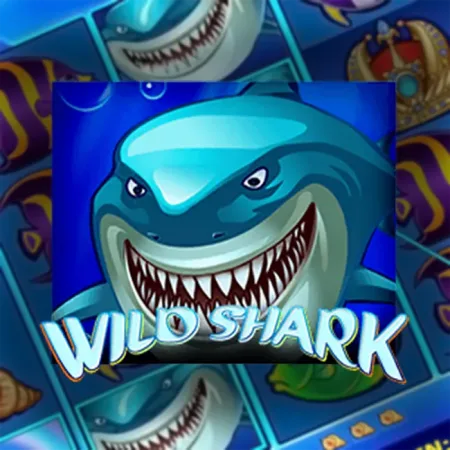 Wild Shark