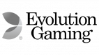 Evolution Gaminglogo
