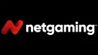 Netgaminglogo